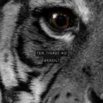 Diseno para fondo de pantalla para movil con fotografia de un tigre y frase en ingles be brave. Diseno agresivo de tonos oscuros