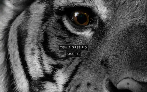 Diseno para fondo de pantalla para movil con fotografia de un tigre y frase en ingles be brave. Diseno agresivo de tonos oscuros