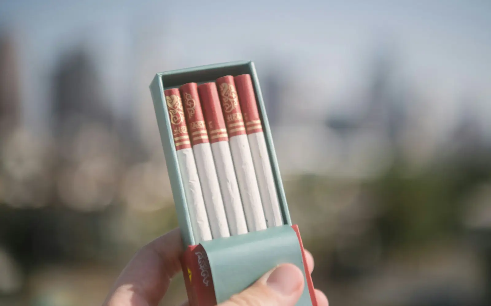 eight cigarro