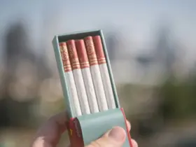 eight cigarro