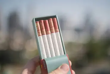 eight cigarro